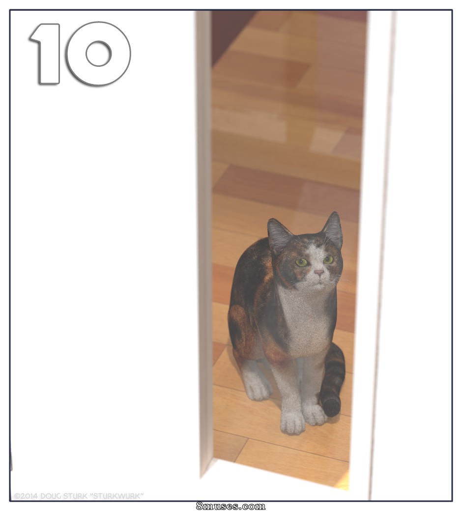 Issue 6 11