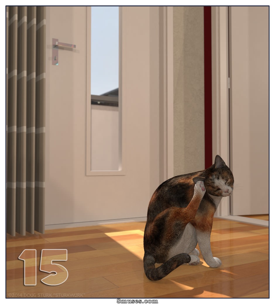 Issue 6 17