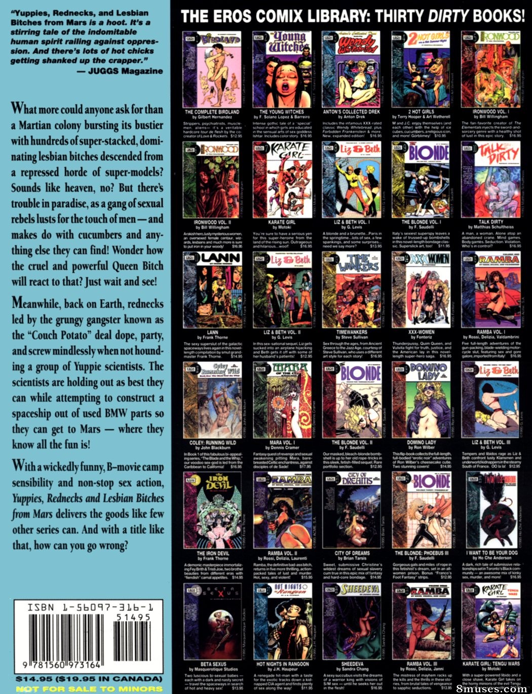 Issue 13 2