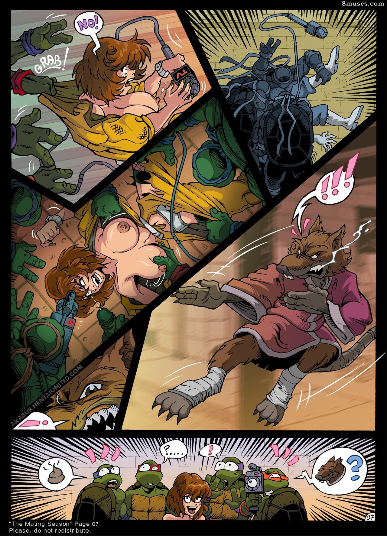 Issue 6 11