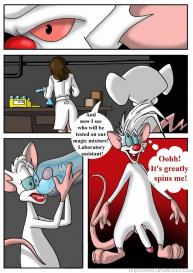 Pinky And The Brain #4