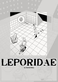 Leporidae #1