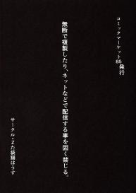 [Z-TABUKURONEKO HOUSE (Gyonikun)] Koneko-tan to, Gasper-kyun (Highschool DxD) #19